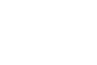 Vonk